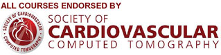 Cardiac CTA Training Courses Level 2, Level 3 Cardiac CT Training, Matthew Budoff, Johns Hopkins cardiac, CTA Academy, cta training courses, Dr. John A. Rumberger MD, CCTA, PVCTA, cardiologists, Mike Allen